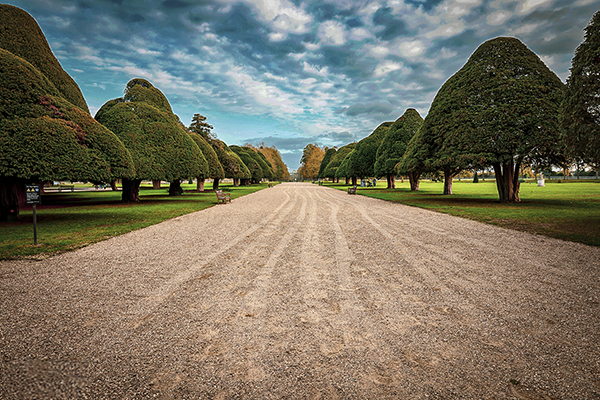 Hampton Court Palace - Gardens